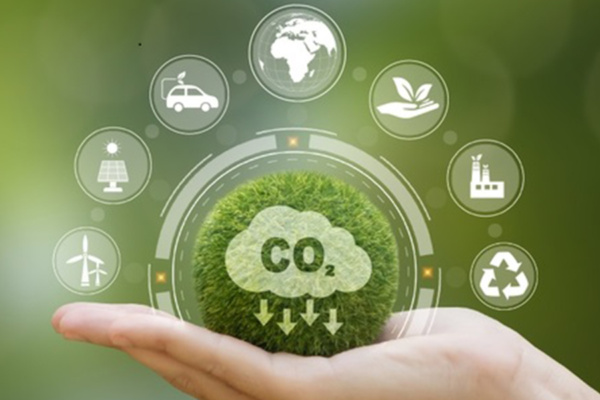 Balancing the Scales for a Greener Future with Carbon Offsetting