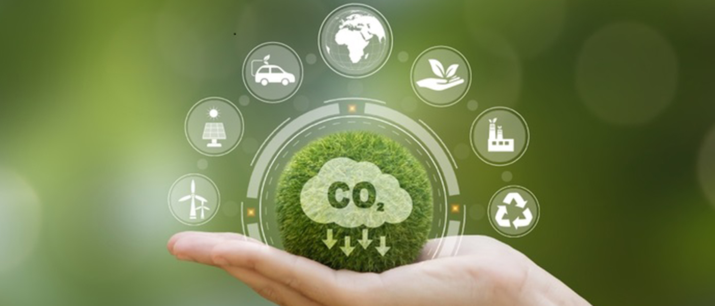 Balancing the Scales for a Greener Future with Carbon Offsetting