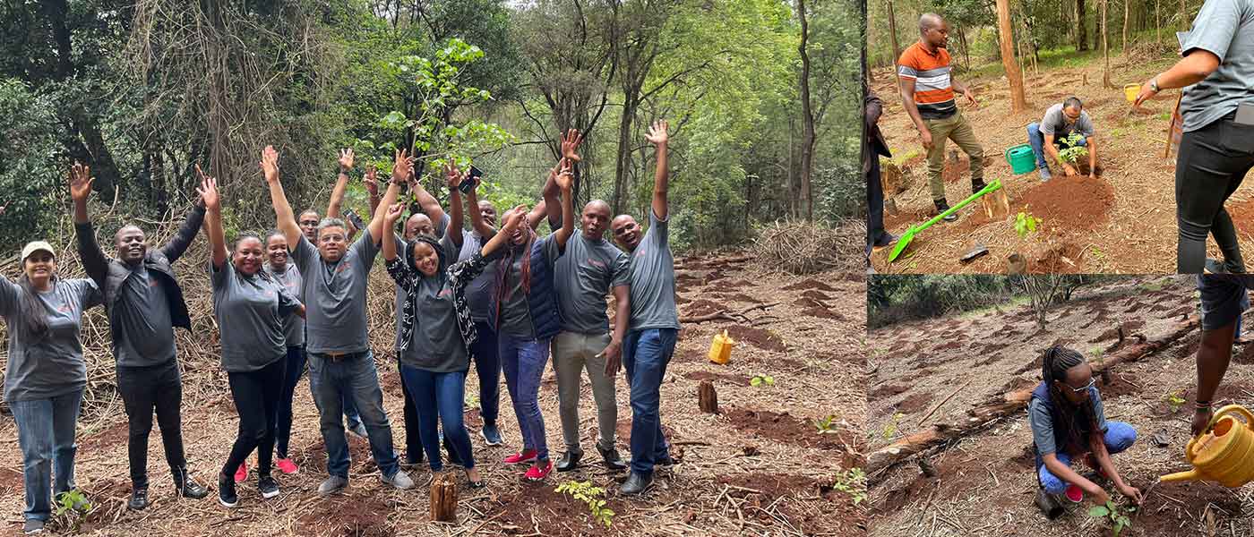 East Africa Team Organized Tree Plantation