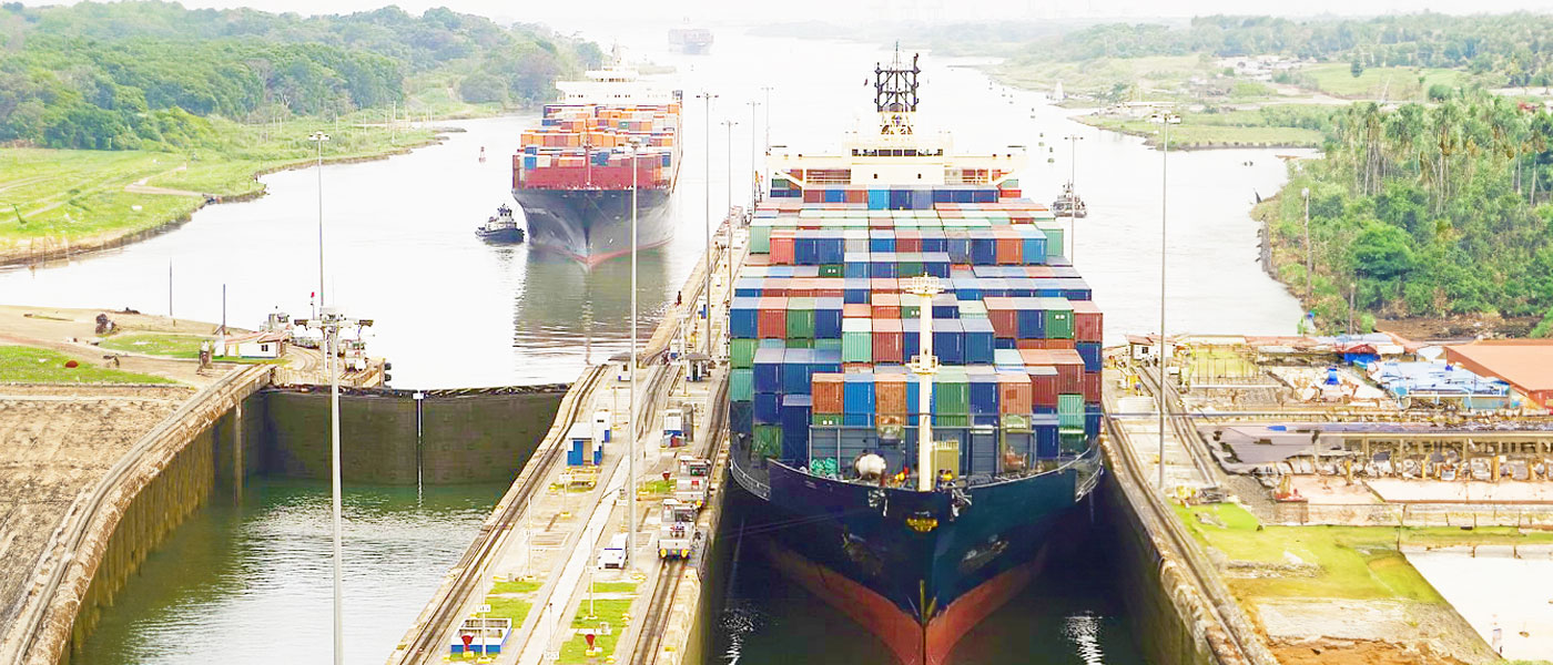 Global Trade Challenges: The Red Sea and Panama Canal Perspective
