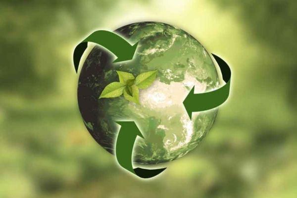 Top 5 Benefits of Embracing Green Supply Chain