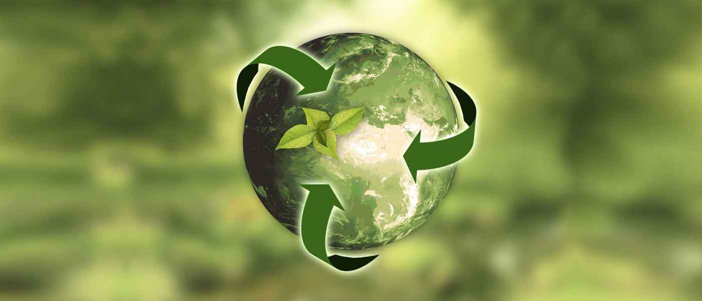 Top 5 Benefits of Embracing Green Supply Chain