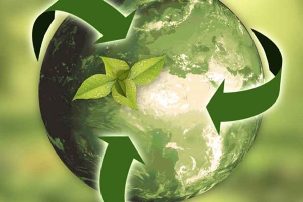 Sustainability in Logistics Industry