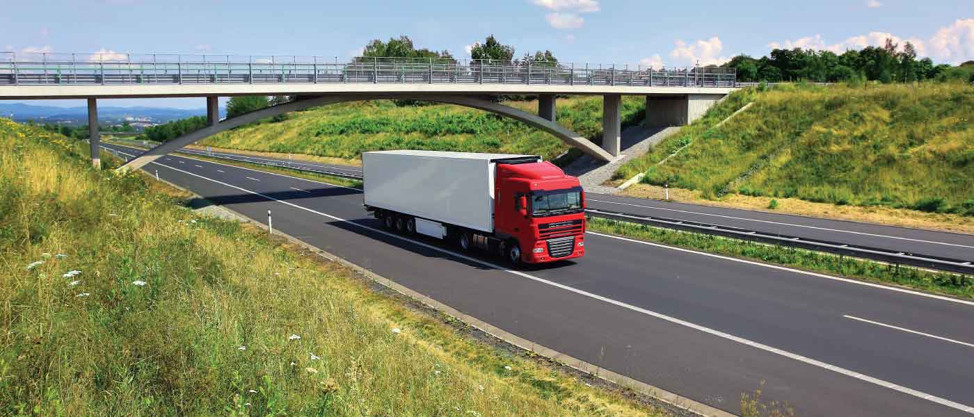 How Landlocked Countries Overcome Freight Challenges
