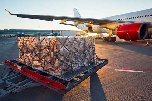 Air cargo getting ready for loading the freights